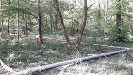 Bewässerungsfläche im Wald mit Rohren auf dem Boden
