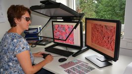 Frau vor einem Stereoskopischen Auswertegerät bei der Analyse von Luftbildern