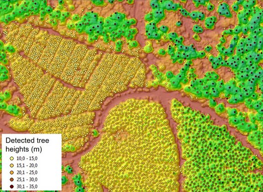 Ansicht einer Waldfläche aus der Luft mit verschiedenen Farbfeldern überzogen
