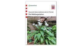 Cover der Publikation "Die Waldvegetation"