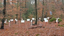 Messgeräte in einem Buchenwald im Hessischen Ried