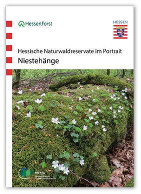 Titel der Veröffentlichung "Niestehänge"