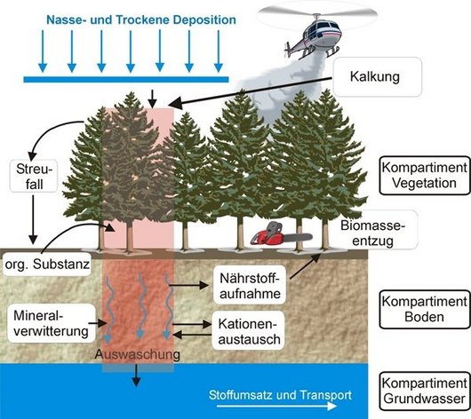 Schematische Darstellung der betrachteten Elementflüsse für die Nährstoffbilanzierung (Calcium, Magnesium, Kalium) in Waldökosystemen und ihre Beziehungen untereinander. Einträge werden durch die Deposition, die Verwitterung und eventuell durchgeführte Kompensationsmaßnahmen beschrieben. Entzüge erfolgen durch die Sickerwasserausträge und die Biomassenutzung. 