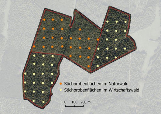 Luftbild von 2018 zeigt das Untersuchungsdesign 