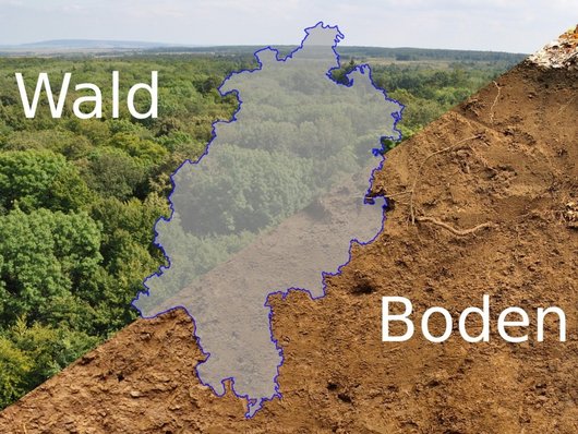 Auf dem Foto ist Wald und Boden mit einem Umriss des Bundeslandes Hessen abgebildet.