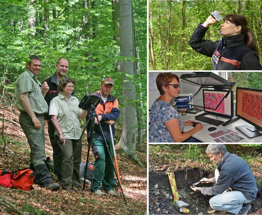 Collage von verschiedenen Messungen im Wald und im Büro.