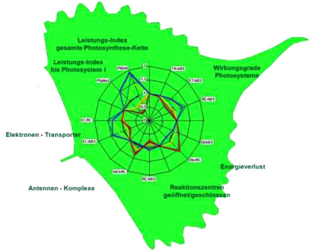 Zusammenstellung von Leistungs- und Stress-Indizes