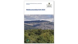 Cover des Waldzustandsberichts 2023 für Sachsen-Anhalt