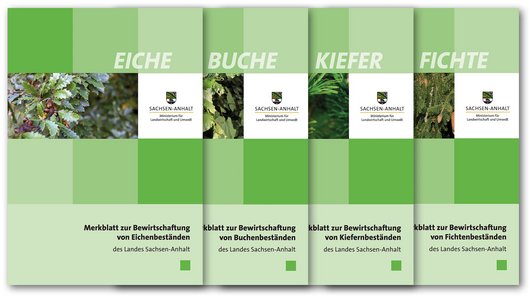 Titelblätter der Sachsen-Anhaltischen Merkblätter
