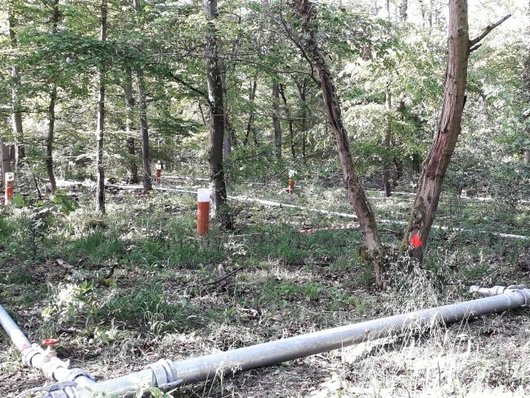 Bewässerungsfläche im Wald mit Rohren