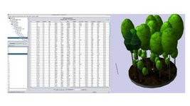 Bildschirmansicht: Darstellung von Bestandesdaten im sog. Waldplaner