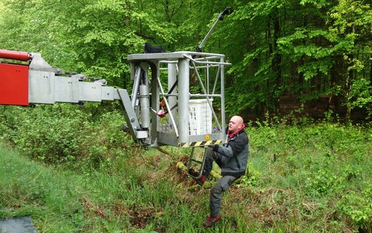 Besteigung einer Hebebühne zur Untersuchung der Kronenfauna