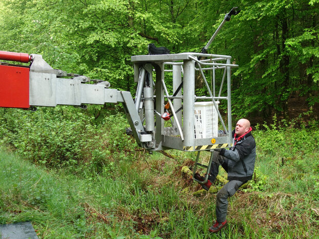 Besteigung einer Hebebühne zur Untersuchung der Kronenfauna