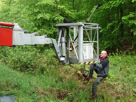 Besteigung einer Hebebühne zur Untersuchung der Kronenfauna