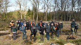 Forstleute diskutieren in einem Waldgebiet