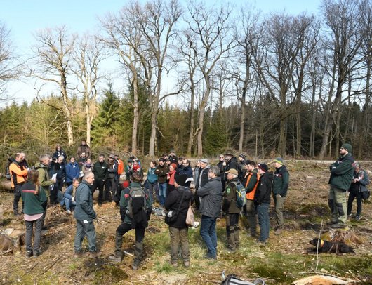 Forstleute bei einem Vortrag im Wald