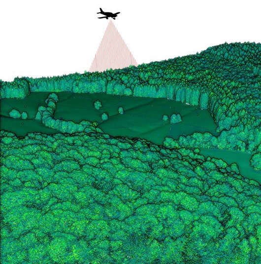 Ein Flugzeug scannt einen Waldbestand.
