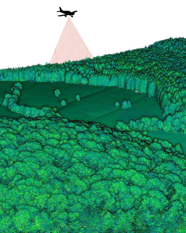 Ein Flugzeug scannt einen Waldbestand.