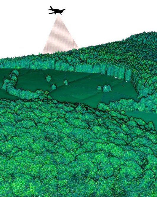 Ein Flugzeug scannt einen Waldbestand.