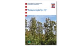 Titel des hessischen Waldzustandsberichts 2021