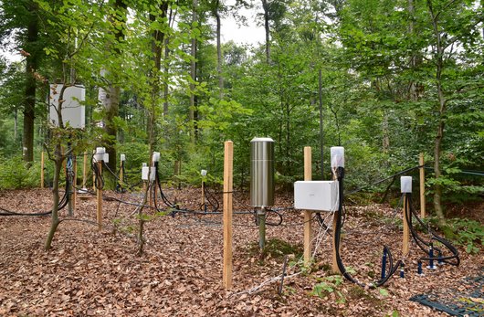 Messinstrumente auf der Intensivmonitoringfläche Solling Buche