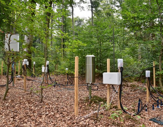 Messinstrumente auf der Intensivmonitoringfläche Solling Buche