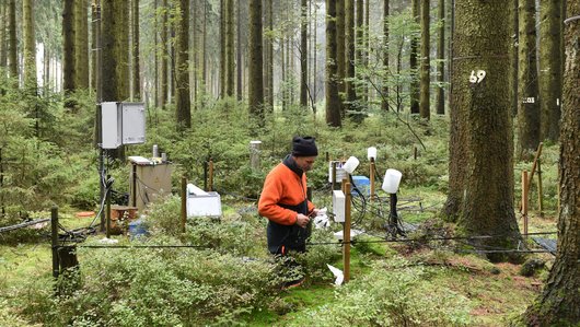 Wissenschaftler arbeitet auf einer Waldfläche mit vielen Messinstrumenten