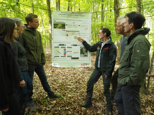 Menschen im Wald vor einer Info-Tafel