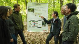 Das Foto zeigt eine Schulung zur klimaangepassten Baumartenwahl im Wald