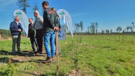 fünf Personen stehen inmitten von Reihen frisch gepflanzter Küstentannen