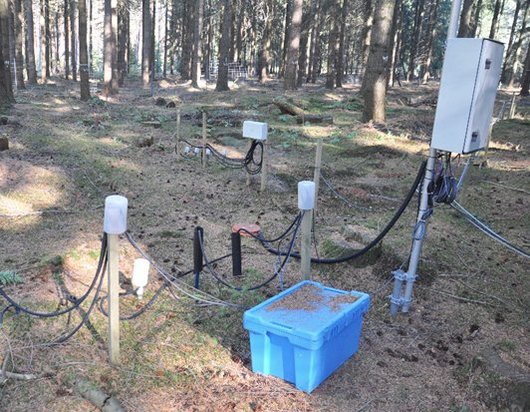 Messgeräte zur Untersuchung des Wassergehaltes im Waldboden 