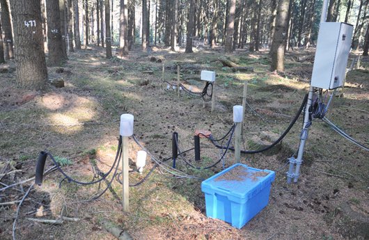 Messgeräte zur Untersuchung des Wassergehaltes im Boden (Foto: NW-FVA)