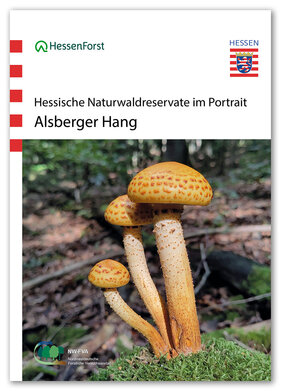 Cover des Bandes Alsberger Hang. Auf dem Titel-Foto ist ein gelber Pilz zui sehen.