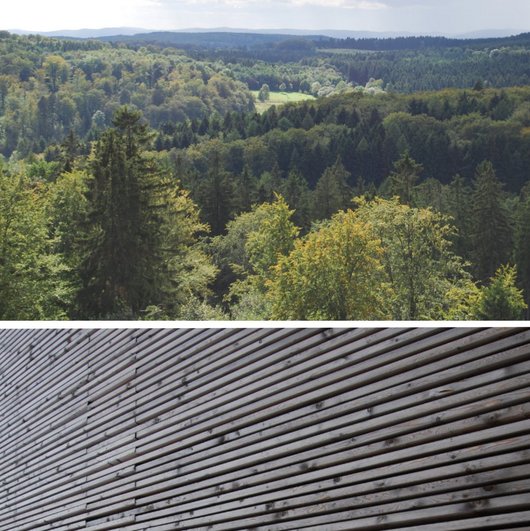 Auf dem Foto ist ein Mischwald von oben zu sehen und unten eine Holzverschalung (Fotos: I.  Kehr))