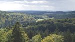 Mischwald von oben