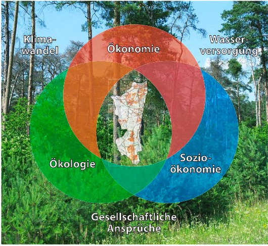 Grafik zu den Ansprüchen an den Wald im hessischen Ried: Ökologie, Ökonomie und Sozioökonomie