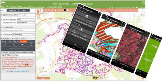 Screenshot des Waldschutzmeldeportals