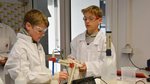 zwei Jungen im weißen Kittel im Labor der NW-FVA