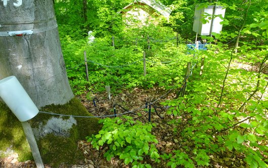 Bodenhydrologisches Messfeld auf der Versuchsfläche Krofdorf