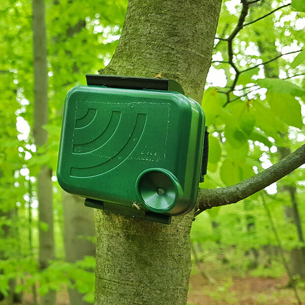 Rechteckige Plastikbox ist im Wald an einem Baum befestigt