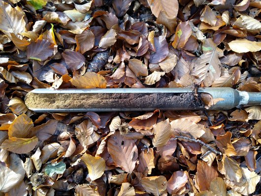 Bodenprobe in einem Bohrstock auf einer Versuchsfläche