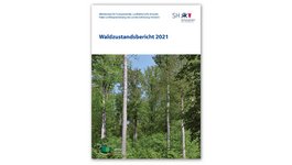 Titel des Waldzustandsberichts 2021 Schleswig-Holstein