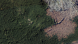 Luftbild von Borkenkäfer-Schäden im Nationalpark Harz im Jahr 2019. Foto: NP Harz