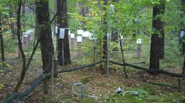 Regensammler in einem Laubwald