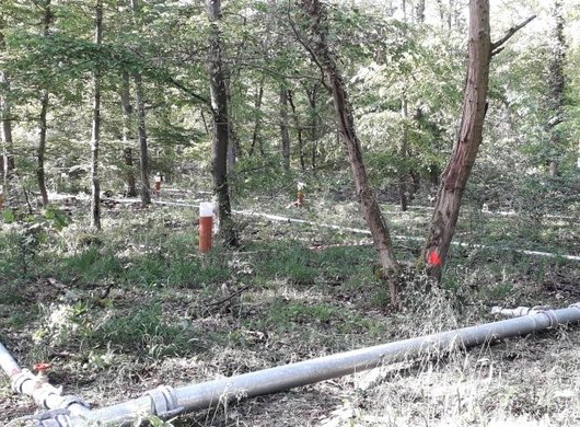 Wasserrohre im Wald