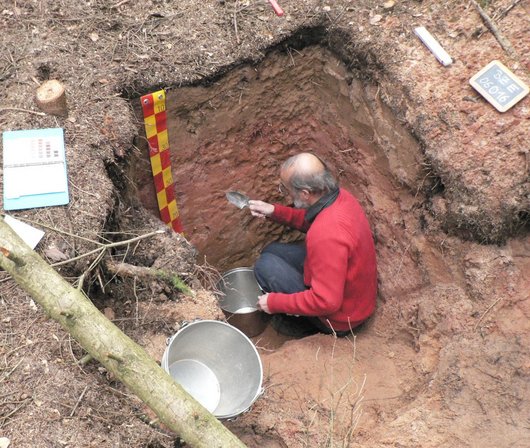 Wissenschaftler entnimmt in einem Loch im Waldboden Proben.