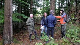 Vier Menschen diskutieren im Wald