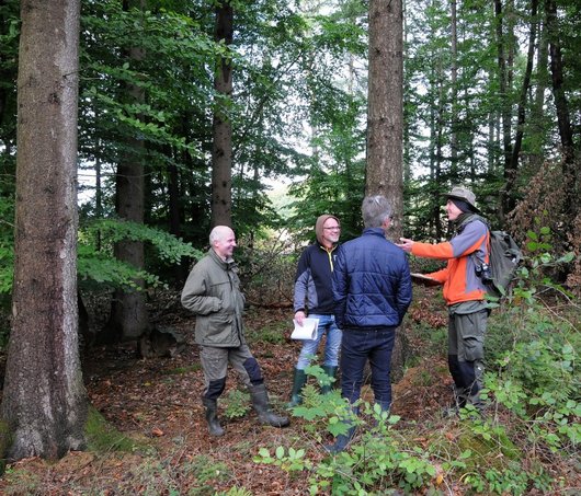 Vier Menschen diskutieren im Wald.