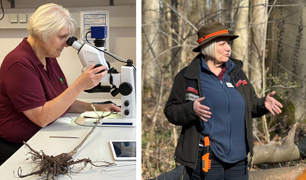 Gitta Langer begutachtet eine Pflanzenprobe am Binokular (links). Sie steht auf dem rechten Bild bei einer Führung im Wald.