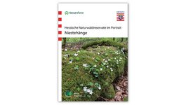 Titel der Veröffentlichung "Niestehänge"